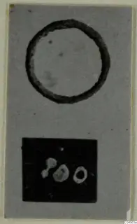 Photographs of small finds from Enkomi Tomb 6: a dark ring outline above small light objects on black