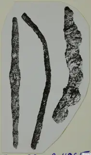 Three long corroded metal objects, one curved, on a mounted photograph of finds from Enkomi Tomb 8