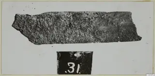 Corroded metal tool fragment, long and flat, with a number label 31 below it, from Enkomi Tomb 8.