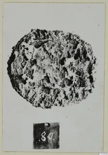 Corroded, pitted metal object photographed face-on with a number label below, from Enkomi Tomb 18
