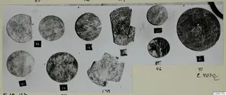 Bone discs and fragments from Enkomi, several with incised concentric rings, each beside a numbered label card
