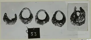 Four ring-shaped small finds, one broken, in a row with a number label below, plus an inset photo of a fifth encrusted object
