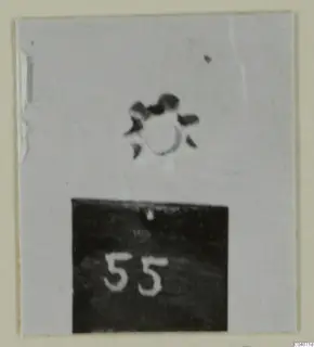 Small dark ring-shaped object on a pale background, with a number label below it