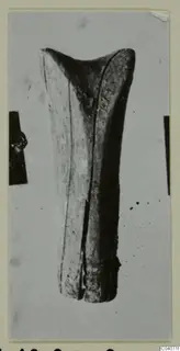 Long bone object, split along one side and widening at the top, from Enkomi.
