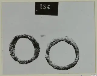 Two corroded metal rings side by side on a pale background, with a number label above them.