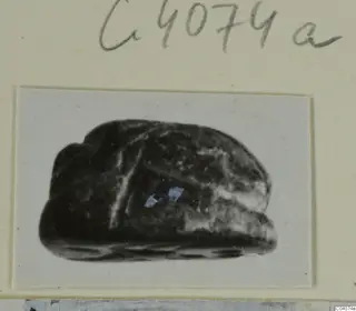 Dark stone scarab photographed on a card mount, with a handwritten number above it.