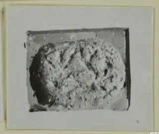 Small oval seal or gem, pale and granular with dark edges and faint incised lines, shown on a mounted print.