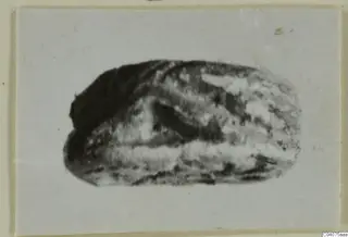 Oval seal or gem from Ajia Irini, photographed as a small print on a card mount.