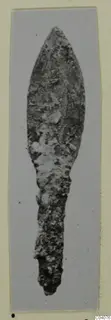 Corroded metal blade with a leaf-shaped tip and a long narrow tang, shown upright on a card mount