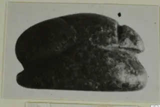 Dark stone scarab with a domed oval body, photographed on a card mount