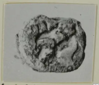 Glyptic find: a small rounded object with a pitted surface and a curved design of grooves, shown close up on a card mount.