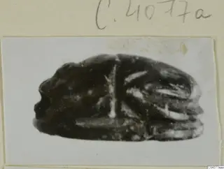 Scarab-shaped seal from Ayia Irini, photographed on a mount card
