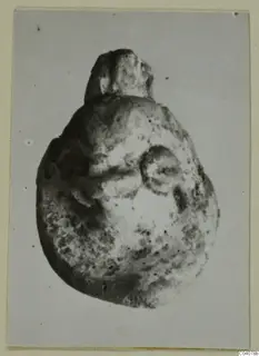Pale, rough bulbous object with a knob-like top and a round boss on one side, photographed on grey card