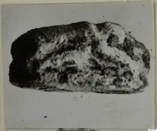 Glyptic find from Ayia Irini: a small rounded stone object with a mottled surface, shown against a pale background