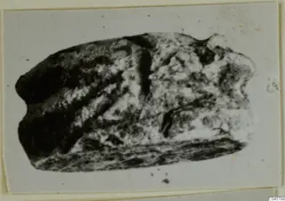 Blurred photograph of a small stone scarab from Ayia Irini, mounted on a card
