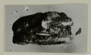 Blurred photograph of a dark, rough stone object, recorded as a scarab, from Ayia Irini