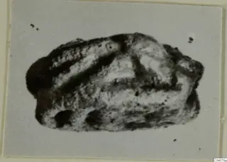 Glyptic find from Ayia Irini, a small dark stone object with a ridged upper surface