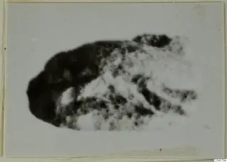 Blurred photograph of a small stone object, possibly a scarab, from Ayia Irini