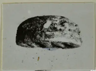 Dark stone seal or scarab with a domed back, photographed on a pale grey card