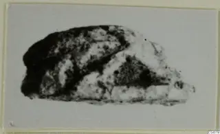 Small mottled stone object from Ayia Irini, catalogued as a glyptic find