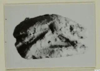 Blurred photograph of a small stone object with dark and light mottled surfaces, on a card mount
