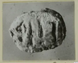 Glyptic find: an oval stone object with dark grooves across its surface, photographed on a grey ground