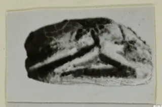 Stone scarab seal from Ayia Irini, shown as an enlarged print