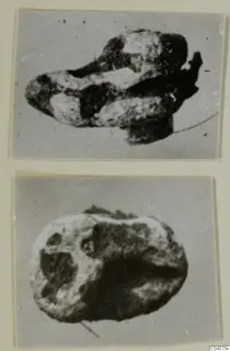 Two grey-toned views of a small glyptic object of stone, mounted on a page