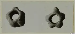 Two small objects with five rounded lobes and central holes, placed side by side on a pale card.