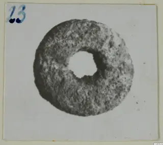 Ring-shaped mottled grey object with a central hole, seen face-on on a pale card