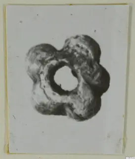 Lobed ring-shaped object with a large central hole, mounted on a pale card