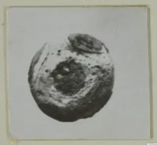 Round object with a dark centre, a pale ring and a small lobe at the top, in a small mounted photograph