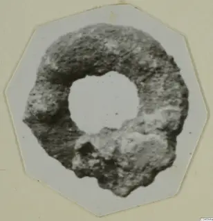 Ring from Marion: a rough, ring-shaped object with a large central hole, shown in a photograph.