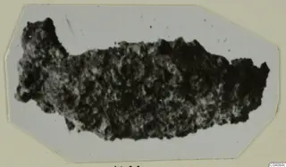 Fragment of an object from Marion, dark and rough-surfaced, shown on a pale card mount