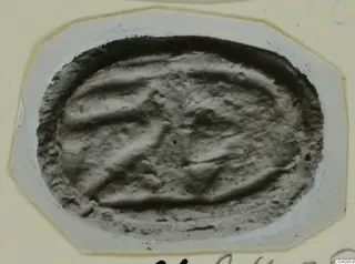 Oval object with a raised pattern of ridges, photographed on a pale card mount, from Marion