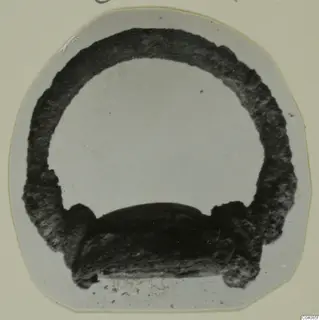 Corroded metal ring from Marion, shown as a dark arched loop on a pale mount