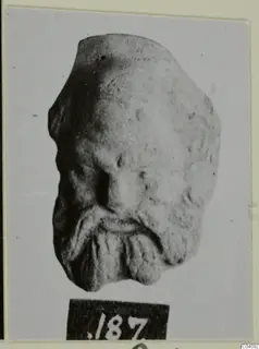 Terracotta head fragment of a bearded face, shown with a number label below
