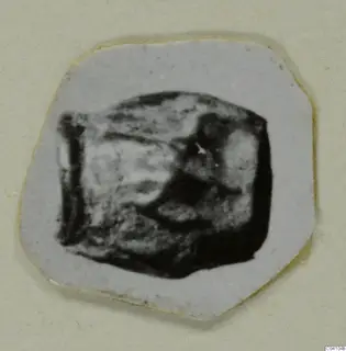 Small blurred photograph of a dark object mounted on a pale card, from Arsos, in the gold jewellery series