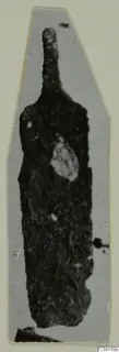 Corroded tanged tool from Nitovikla T.I, shown in a grey cut-out card mount
