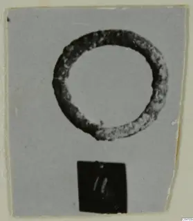 Ring-shaped metal object on a grey card, with a number label below it