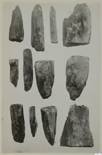 Twelve weathered bone fragments from Amathus, arranged in three rows on a light background.