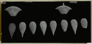 Bone objects from Amathus: two curved pieces above and eight teardrop-shaped pieces in a row below, on black.