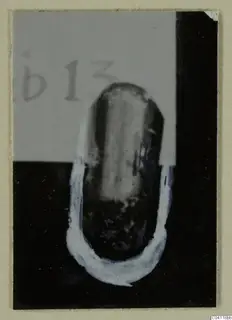 Find from Amathus T. 2-26: a dark rounded object with a white painted outline