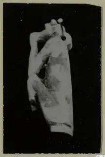 Blurred photograph of a figure-shaped object, possibly a sculpture fragment, from Amathus tombs