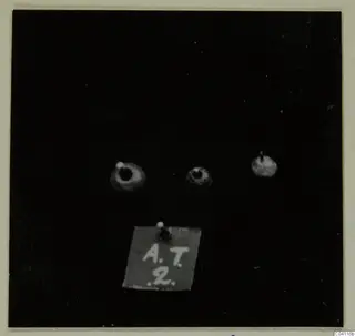 Three small round beads from Amathus pinned against a black background, with a small label card below