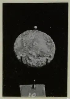 Round, mottled disc, possibly a coin, pinned against a black background with a number label below.