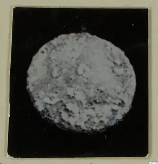 Round, mottled grey disc on a black card, from Amathus; shown as an imperial coin