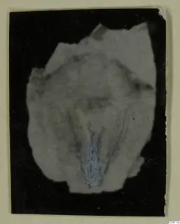 Blurred view of a flat, irregular grey fragment on a black ground, with a bluish patch near its lower middle