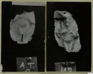 Two views of a crumpled, thin, pale fragment from Amathus, each shown above a small card label.