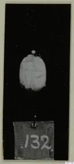 Engraved seal or scarab, oval, on a pin against a black background, with number label 132.